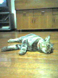 050907_2319~001.jpg