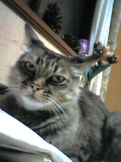 050907_2324~001.jpg