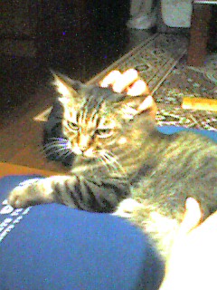050913_2122~001.jpg