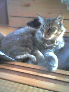050925_1504~001.jpg