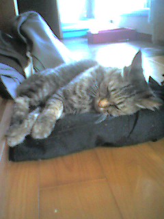050925_1510~001.jpg