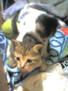 051023_1835~001.jpg
