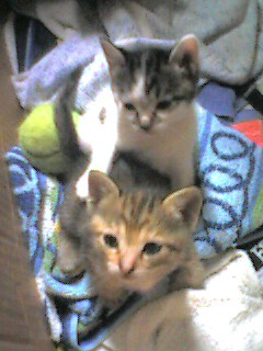 051023_1835~002.jpg
