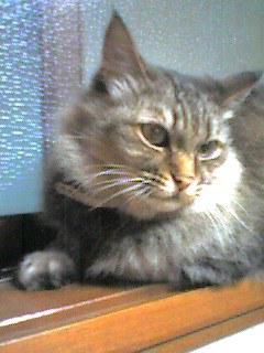 051026_2219~001.jpg
