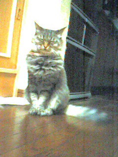 051026_2332~001.jpg