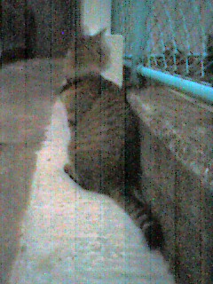 051029_1730~001.jpg