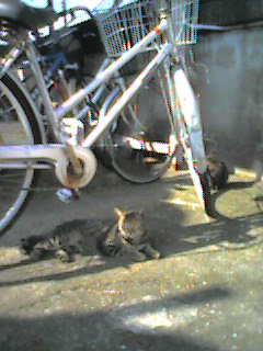 051112_1041~001.jpg