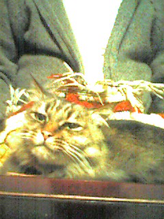 051119_2116~002.jpg