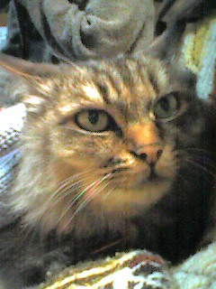 051123_1841~002.jpg