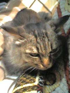 051123_1841~003.jpg