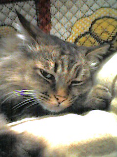 051203_0017~001.jpg