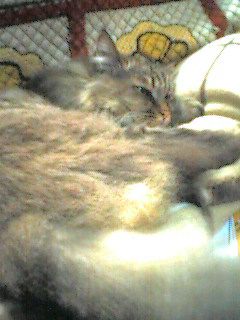 051203_0018~001.jpg