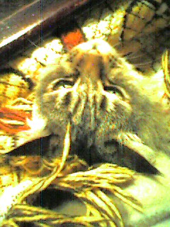 051217_2052~001.jpg