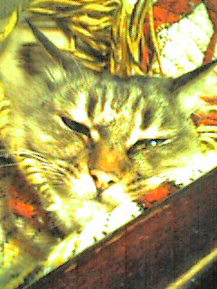 051217_2053~001.jpg
