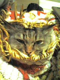 051217_2058~001.jpg