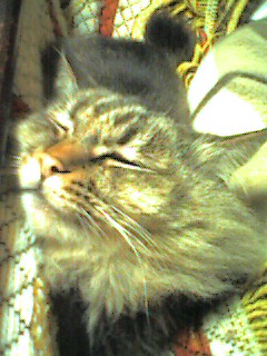 060107_2310~001.jpg