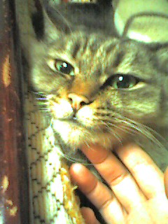 060107_2311~001.jpg