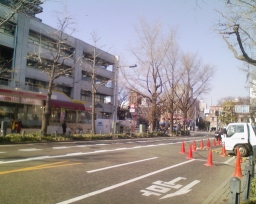 大桟橋バス停前の道路