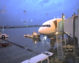 飛行機「ANA595便」(松山空港にて)