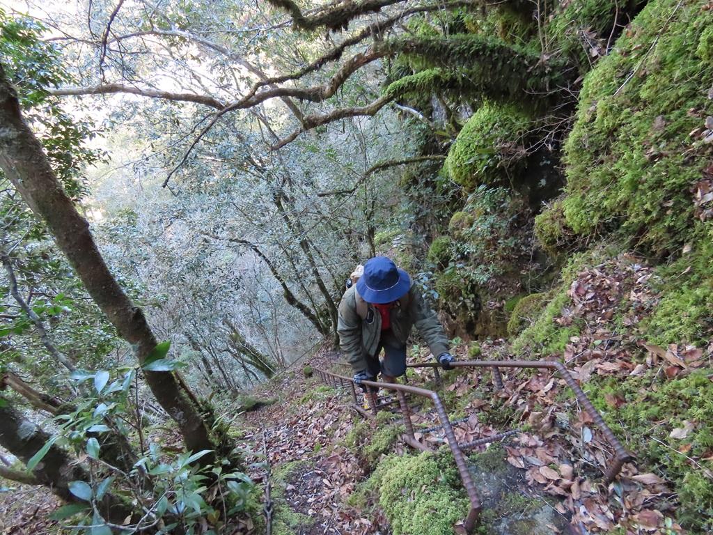 鉄の梯子を上る娘