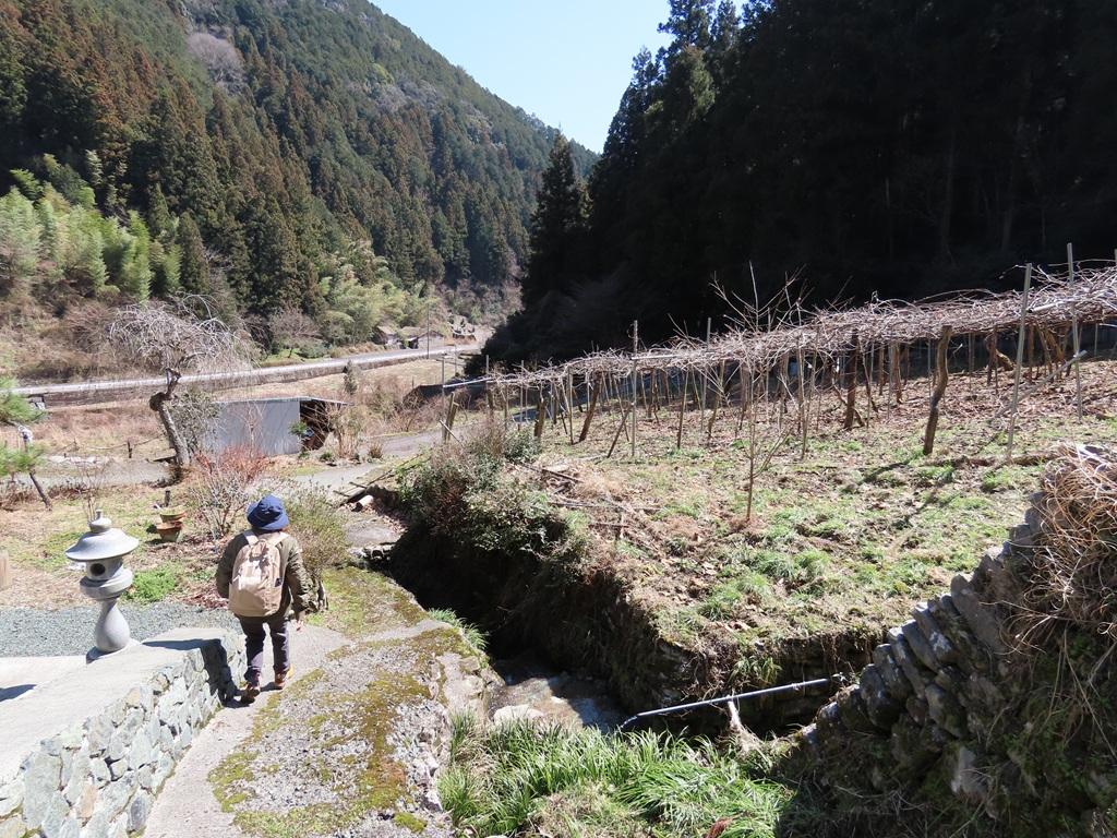 人里に降りてきた娘