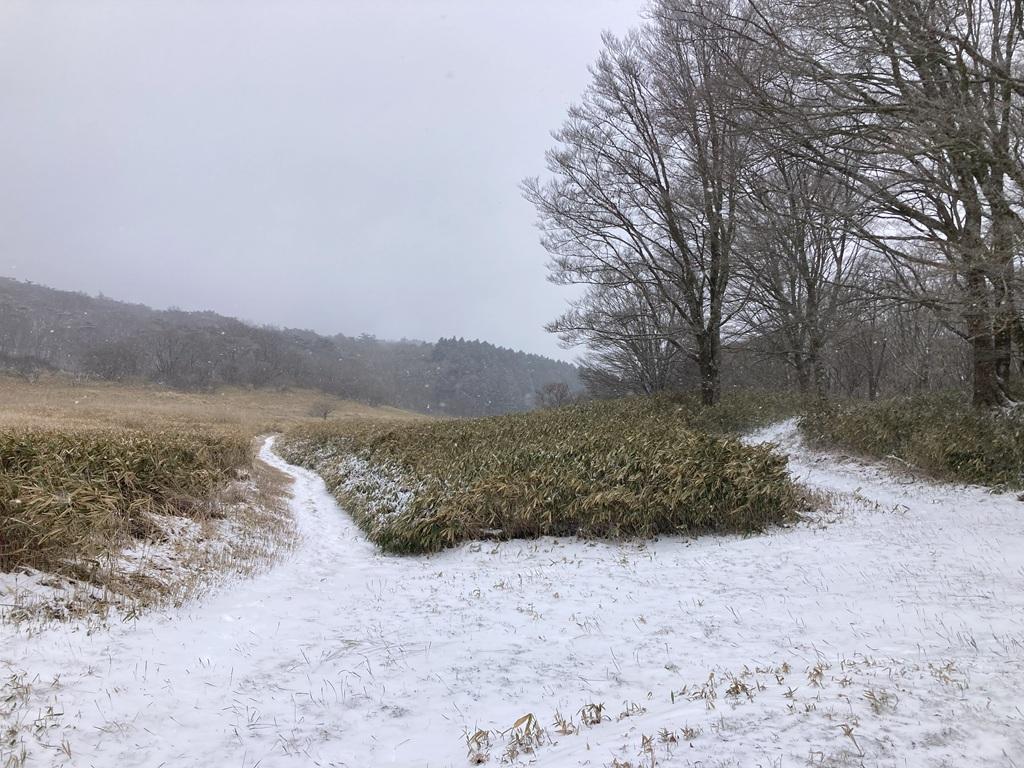 皿ヶ嶺 竜神平の平原と雪道の写真