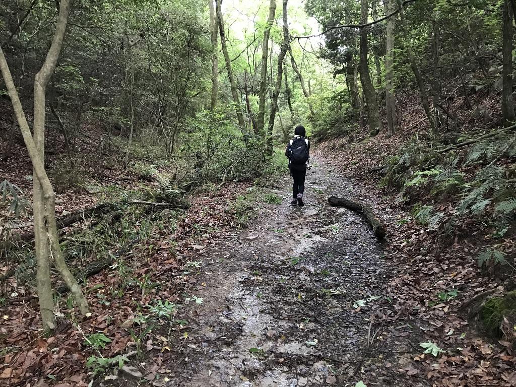 淡路ヶ峠 砂防ダム奥ルート ゆったりマドンナコース 雨上がり後に濡れた道。先を歩く高校1年生の娘