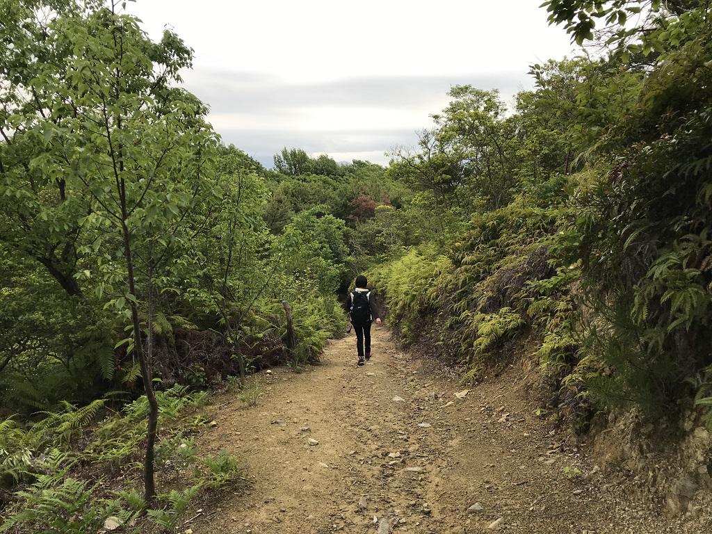 淡路ヶ峠 ゆったりマドンナコース 展望台からの帰り道。先を歩く高校1年生の娘